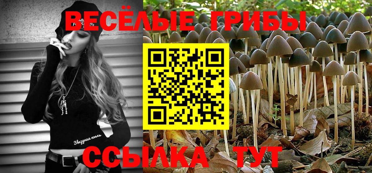 ГАШ Мыски
